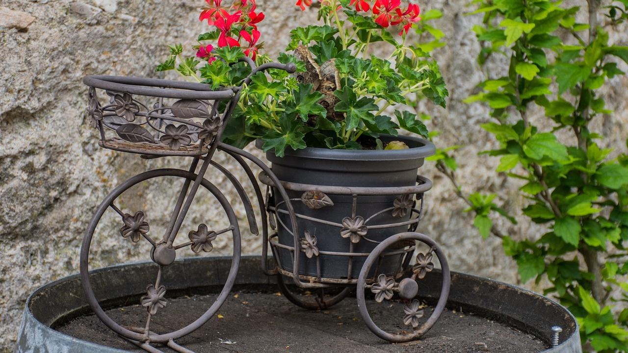 Mini-bike with flower basket as the seat