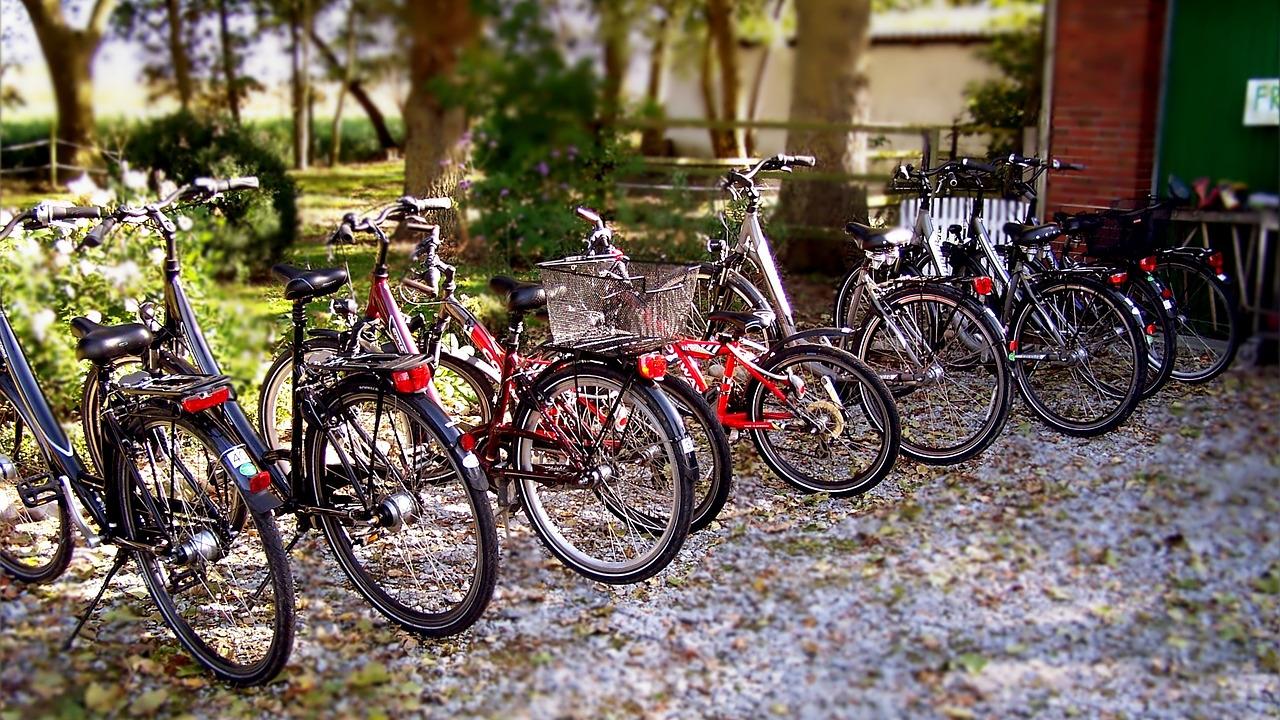 Several bicycles parked on a sidewalk with leaves around them