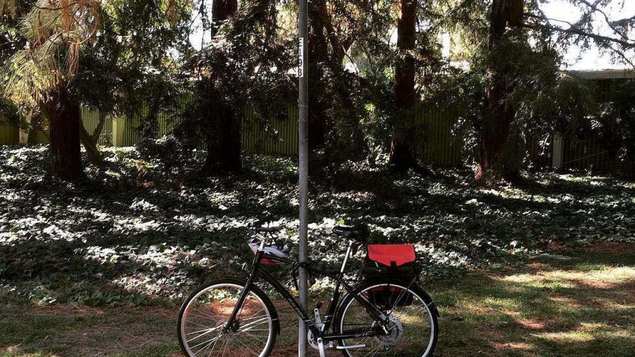 A Bicycle in The Grove