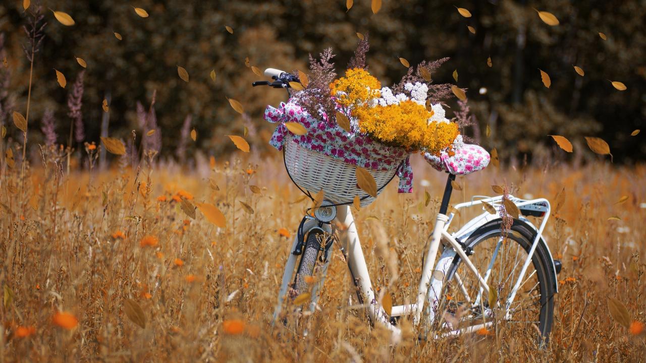 Fall bicycle