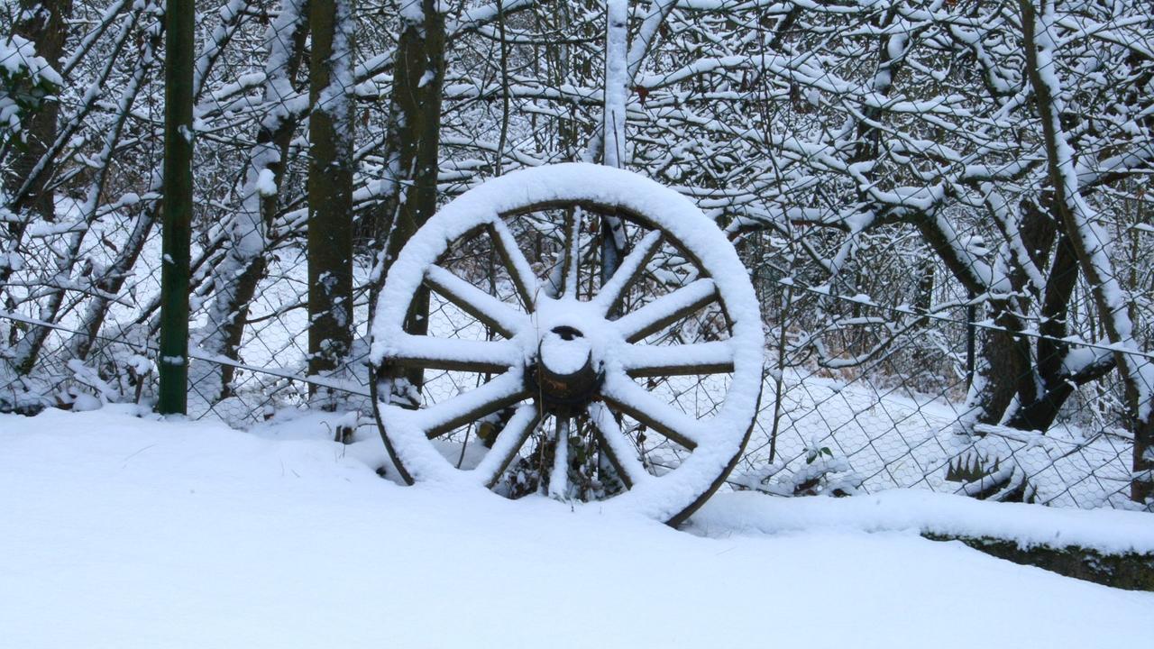 snowy wheel