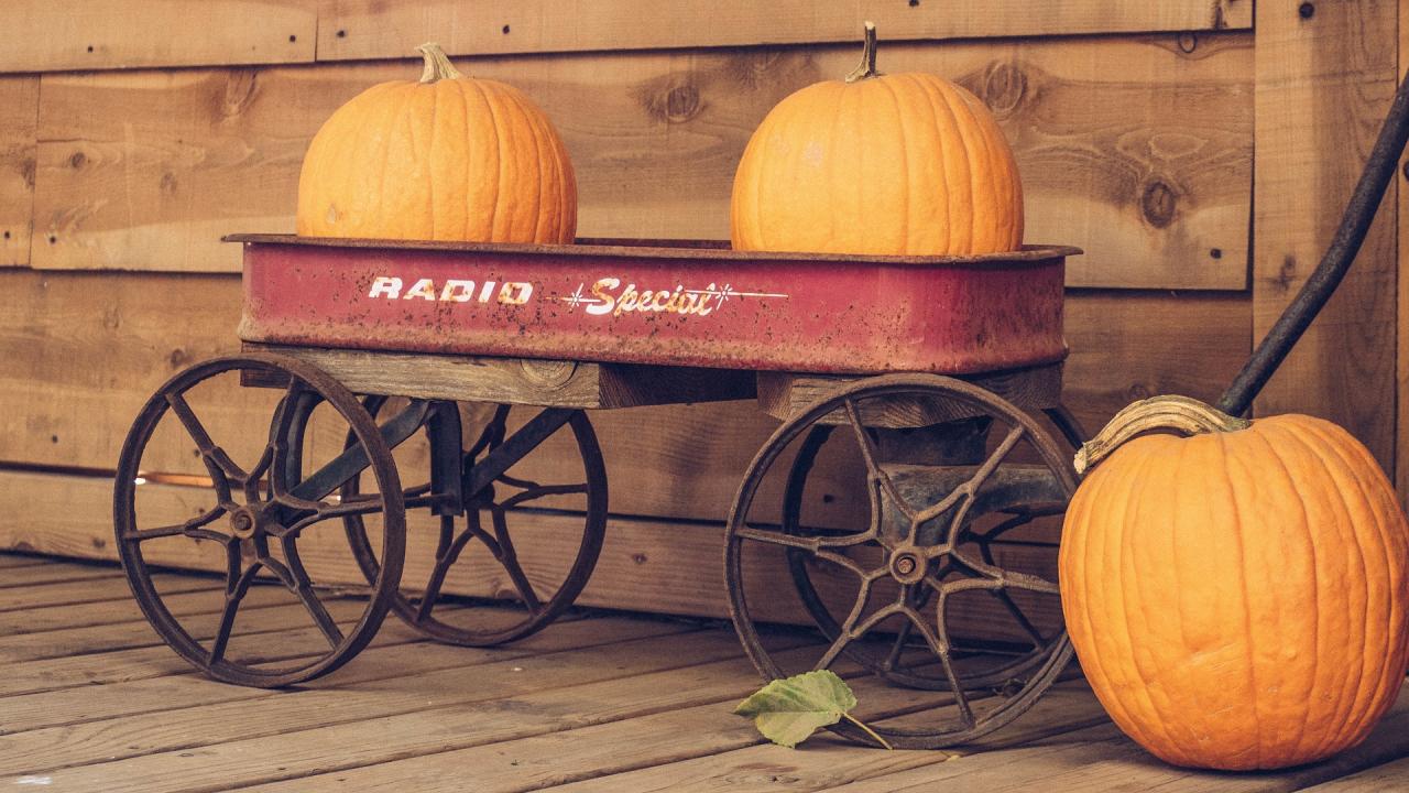 Wagon and Pumpkins