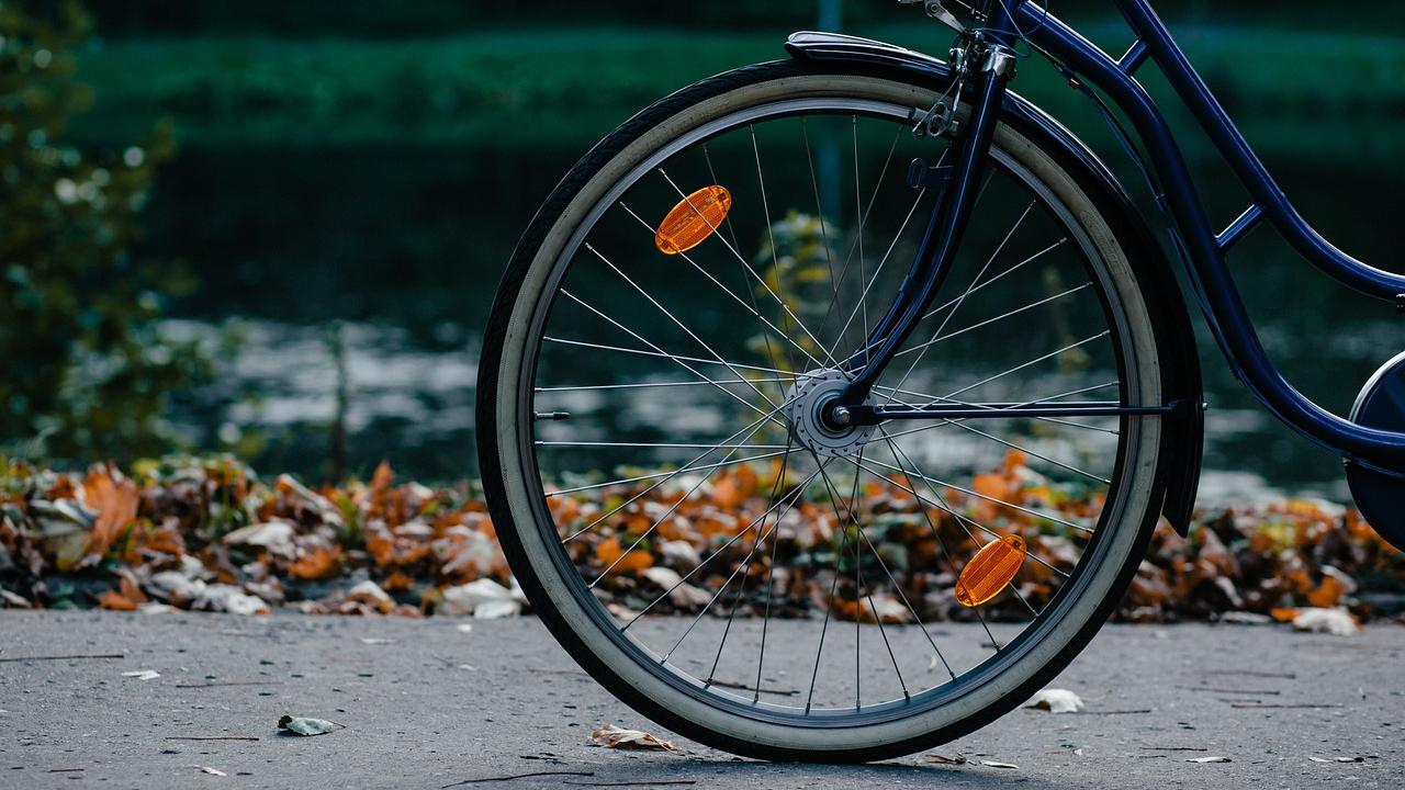 bicycle tire with fall leaves behind it