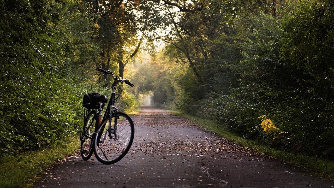 bicycle on a path in the fall