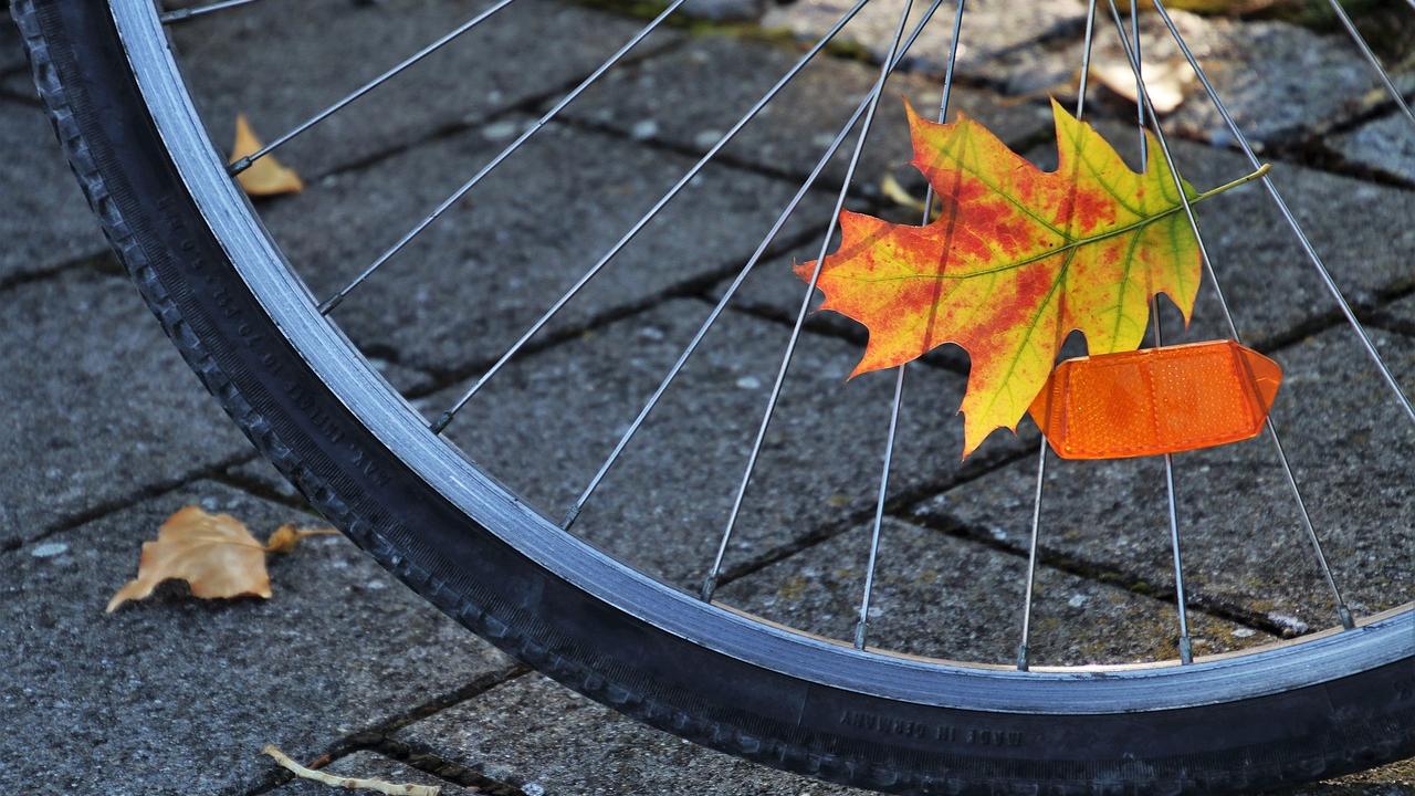 close up on bicycle tire with fall leaves behind it