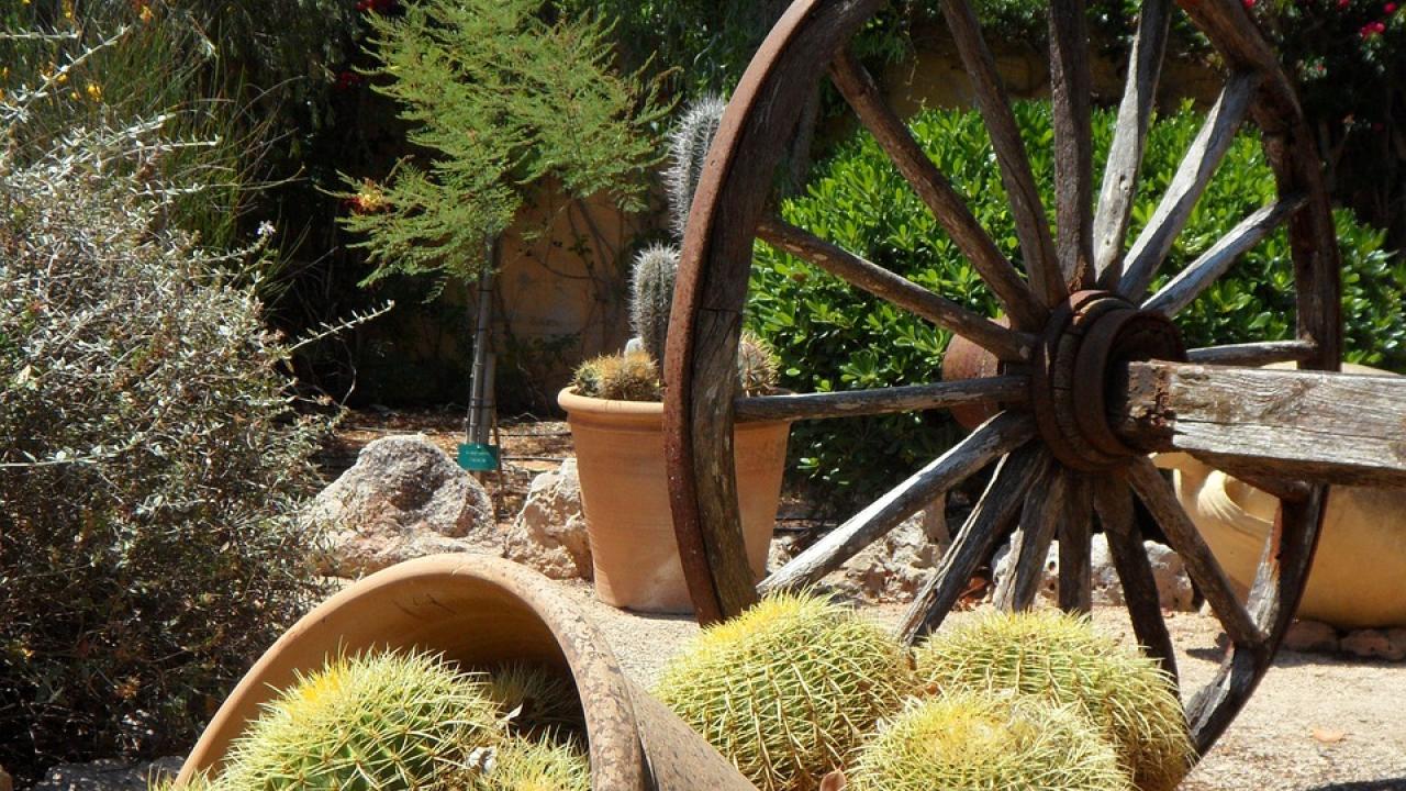 Wagon wheel in front of small cactus