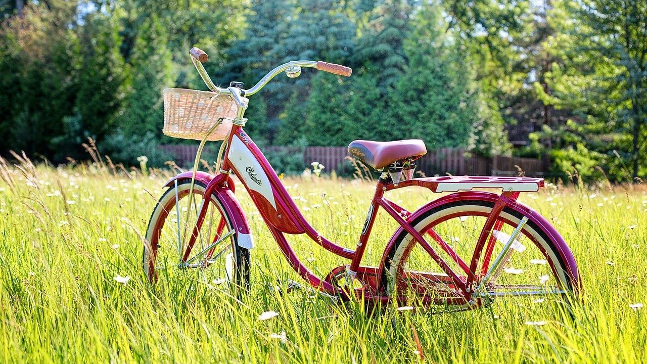 Red bicycle in a summer field