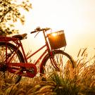 Summer Bike