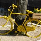 Yellow bike with flowers