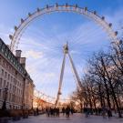 London Eye at sunset, large Ferris wheel in golden light with people and bare trees