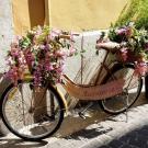 Bike with flowers in front and back basket