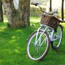 bicycle with basket in front of a tree