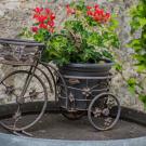 Mini-bike with flower basket as the seat