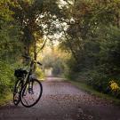 Bike on a wooded path