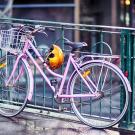 Pink bicycle in front of metal railing