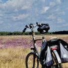 bicycle in front of field of heather