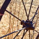 Close up on rusty wagon wheel